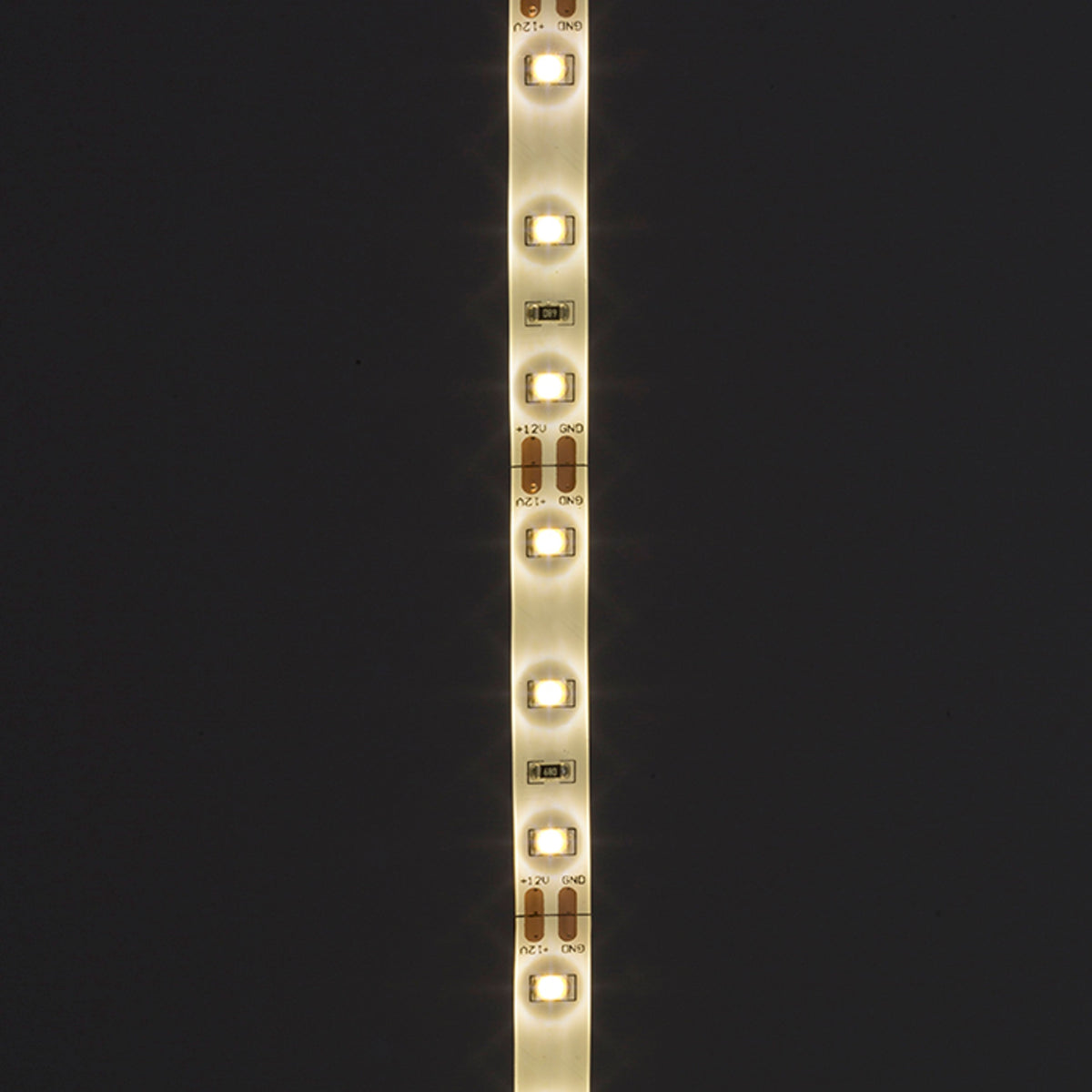 RENDL LED-strip LED STRIP IP54 5m    12V= LED 60W IP54  3000K G12371 5