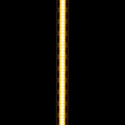 RENDL LED-strip LED STRIP ORION LED-strip 5m   12V= LED 50W 120°  3000K G13798 3