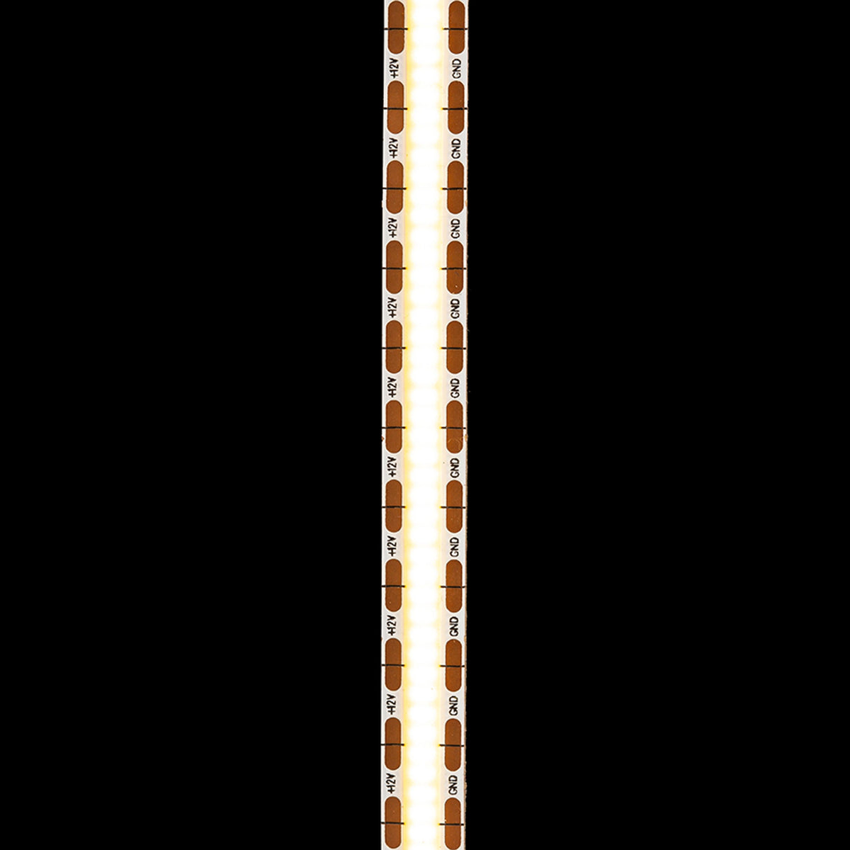 RENDL LED-strip LED STRIP ORION LED-strip 5m   12V= LED 50W 120°  3000K G13798 5