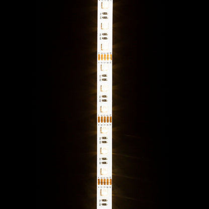 RENDL LED-strip LED STRIP ORION RGBW LED-strip 5m   12V= LED 96W 120°  RGBW G13820 10