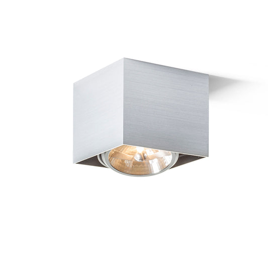 RENDL surface mounted lamp DEAN I   brushed aluminum 230V/12V G53 50W R10610 1