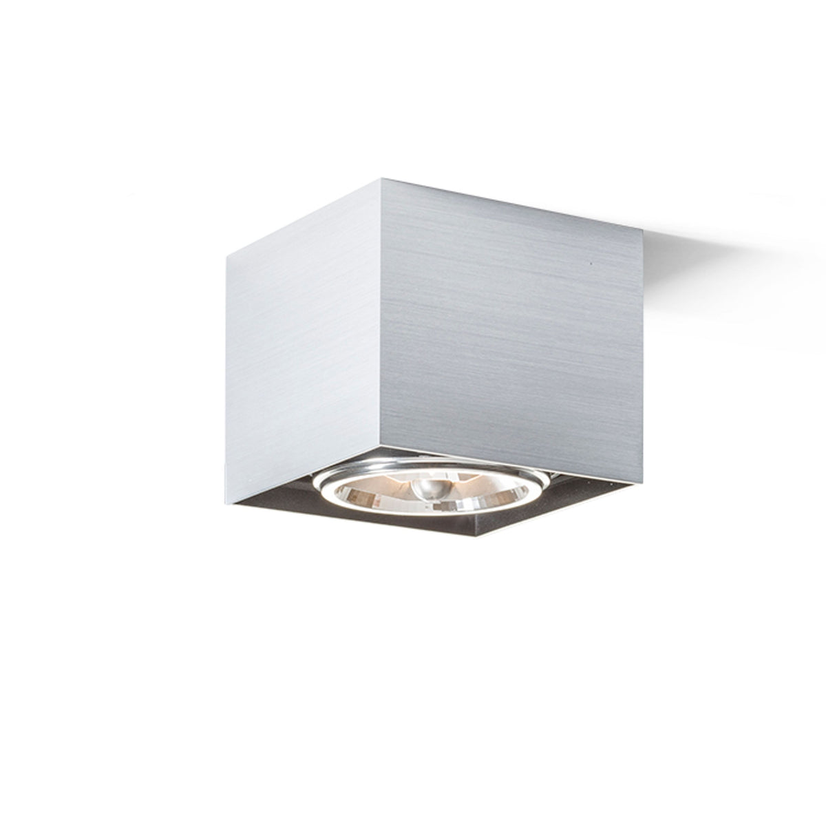 RENDL surface mounted lamp DEAN I   brushed aluminum 230V/12V G53 50W R10610 2