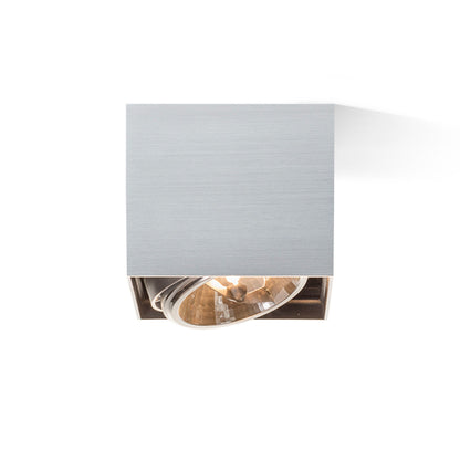 RENDL surface mounted lamp DEAN I   brushed aluminum 230V/12V G53 50W R10610 3