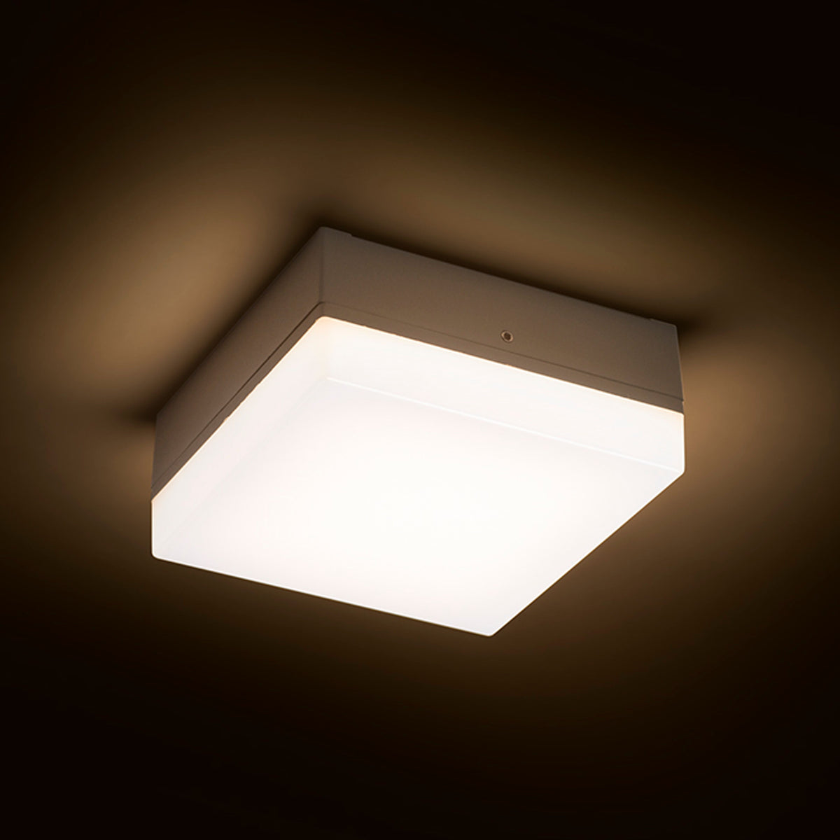 RENDL outdoor lamp SPECTACLE surface mounted silver grey  230V LED 5W IP54  3000K R11968 2