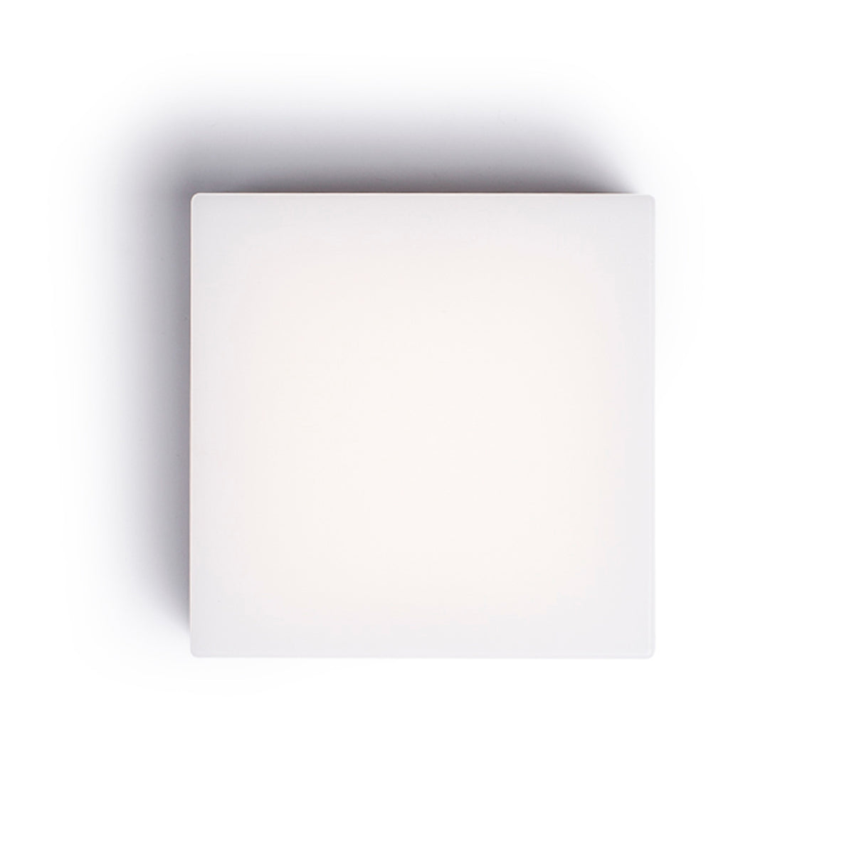 RENDL outdoor lamp SPECTACLE surface mounted silver grey  230V LED 5W IP54  3000K R11968 3