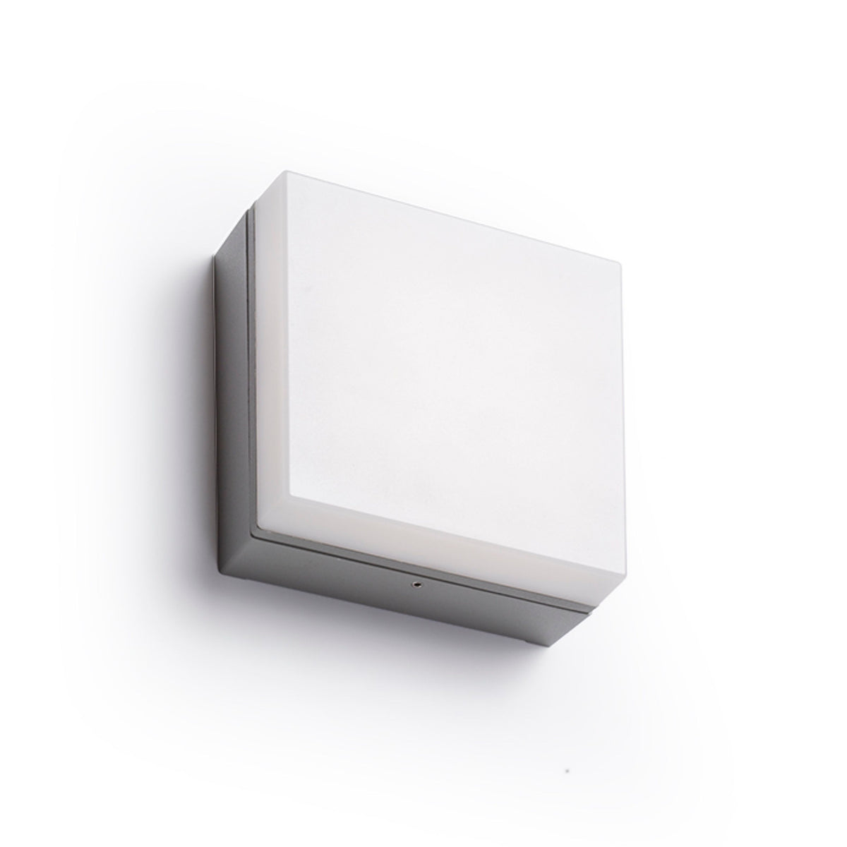RENDL outdoor lamp SPECTACLE surface mounted silver grey  230V LED 5W IP54  3000K R11968 4