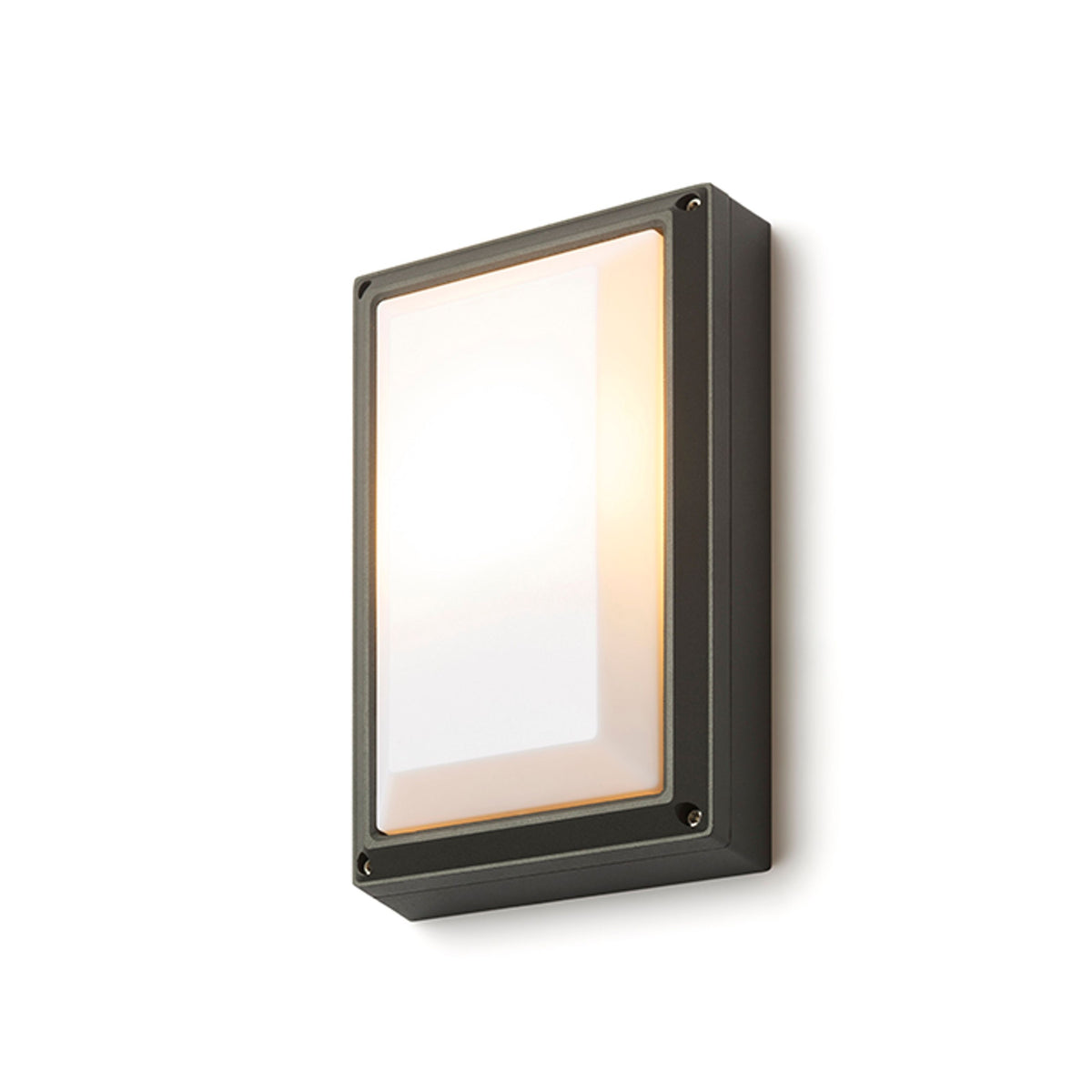 RENDL outdoor lamp DELTA RC wall anthracite grey  230V E27 18W IP54 R12567 6