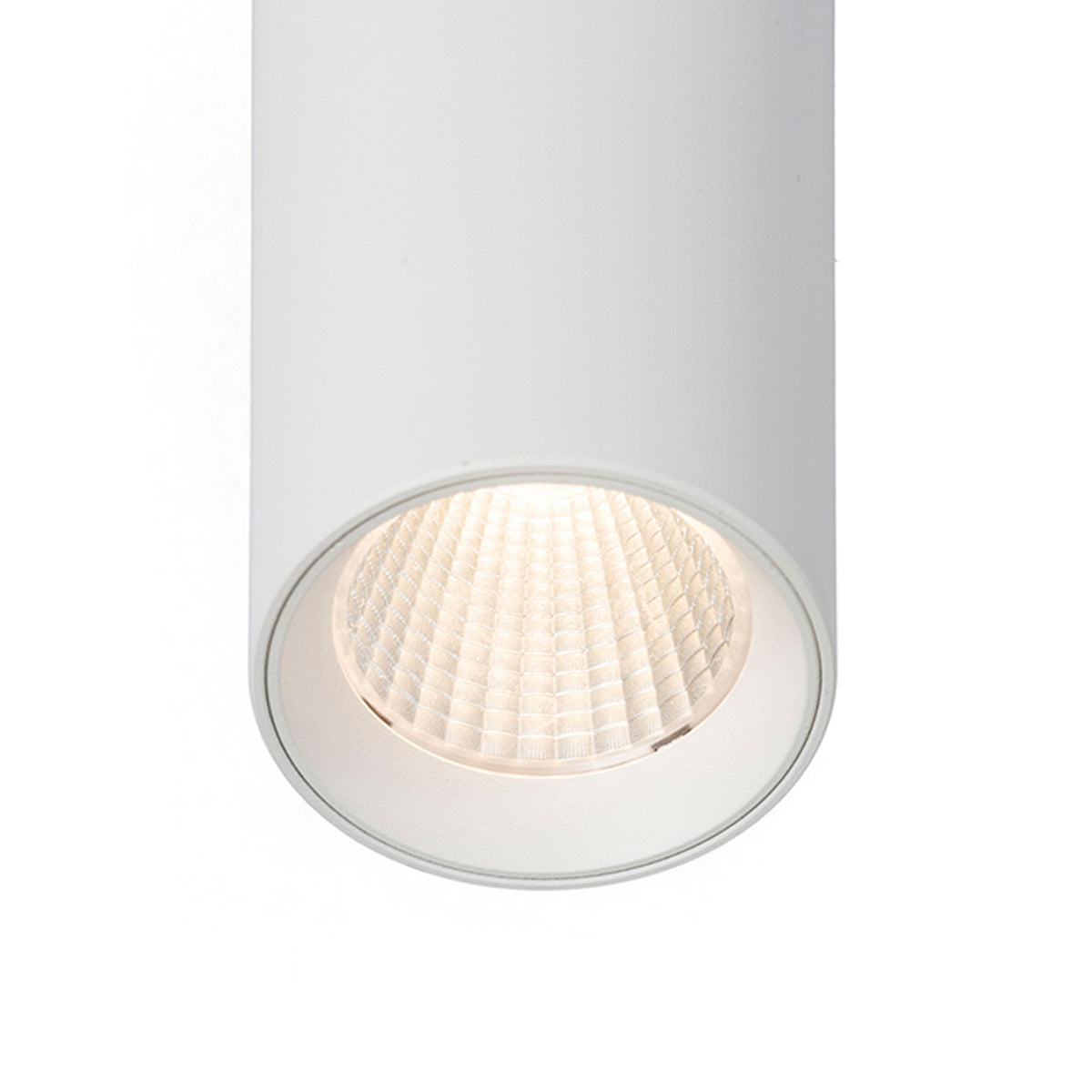 RENDL pendant lamp MAVRO pendant white  230V LED 12W 38°  3000K R12990 5
