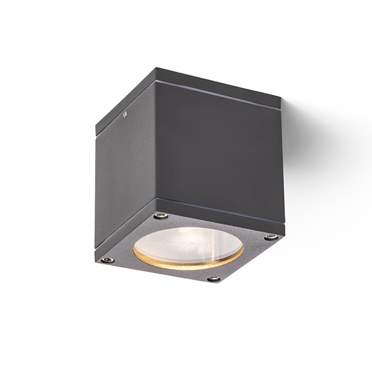 RENDL outdoor lamp RODGE ceiling anthracite grey  230V LED GU10 8W IP54 R13511 2