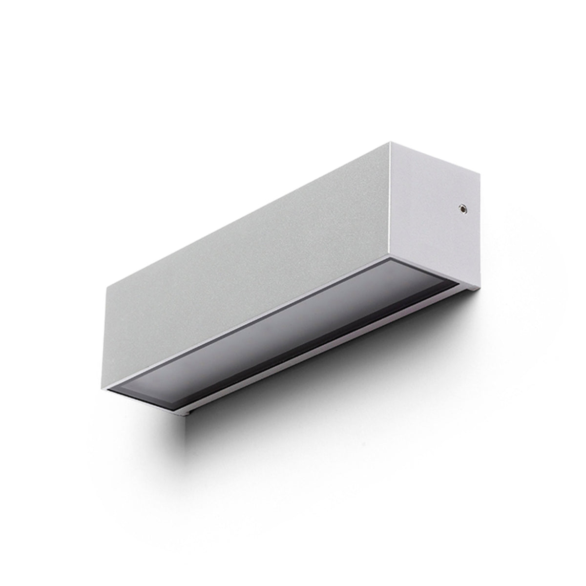 RENDL outdoor lamp CAMARGUE wall silver grey satinated glass 230V LED 6W IP65  3000K R13527 4