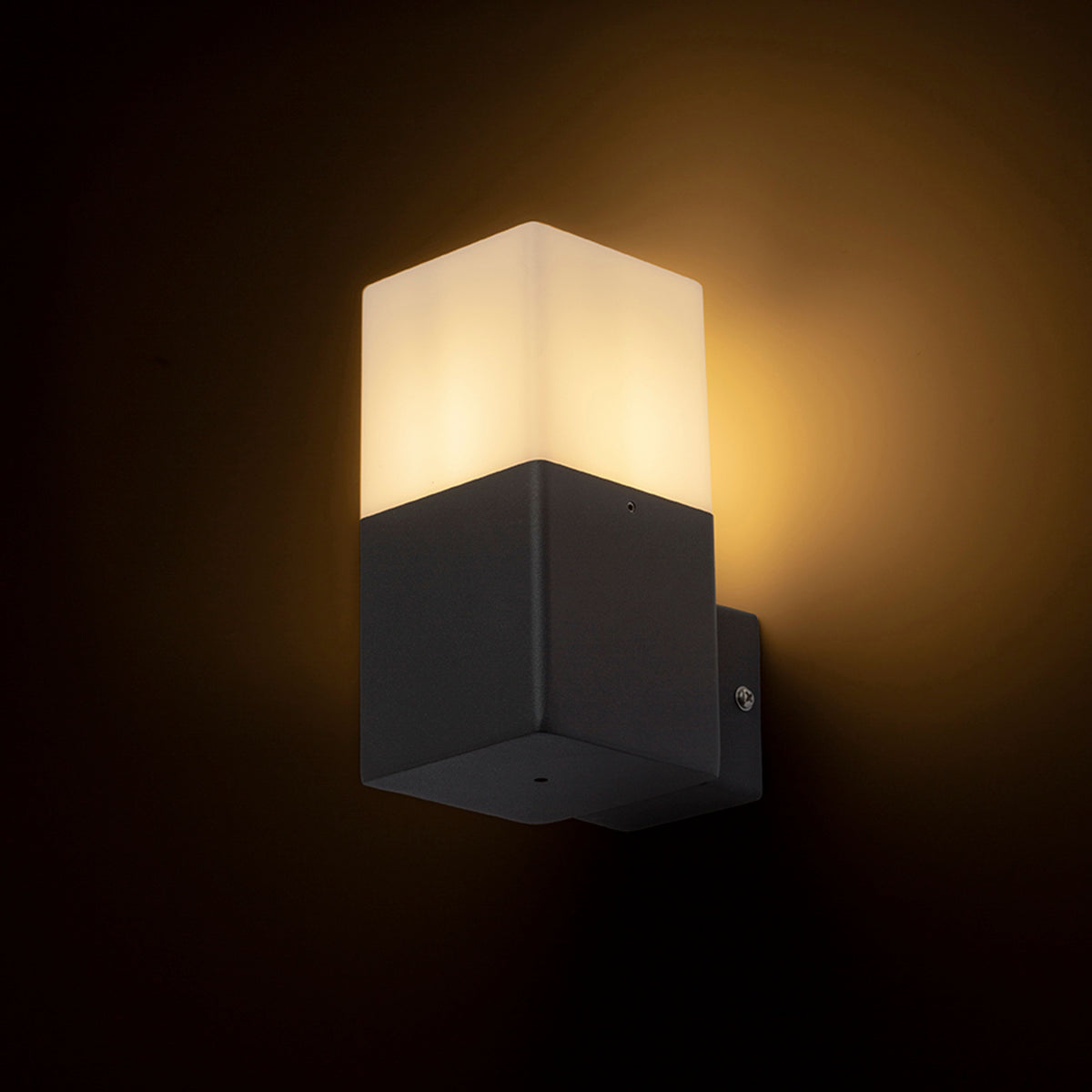 RENDL outdoor lamp CLYDE wall anthracite grey  230V LED E27 11W IP44 R13637 2