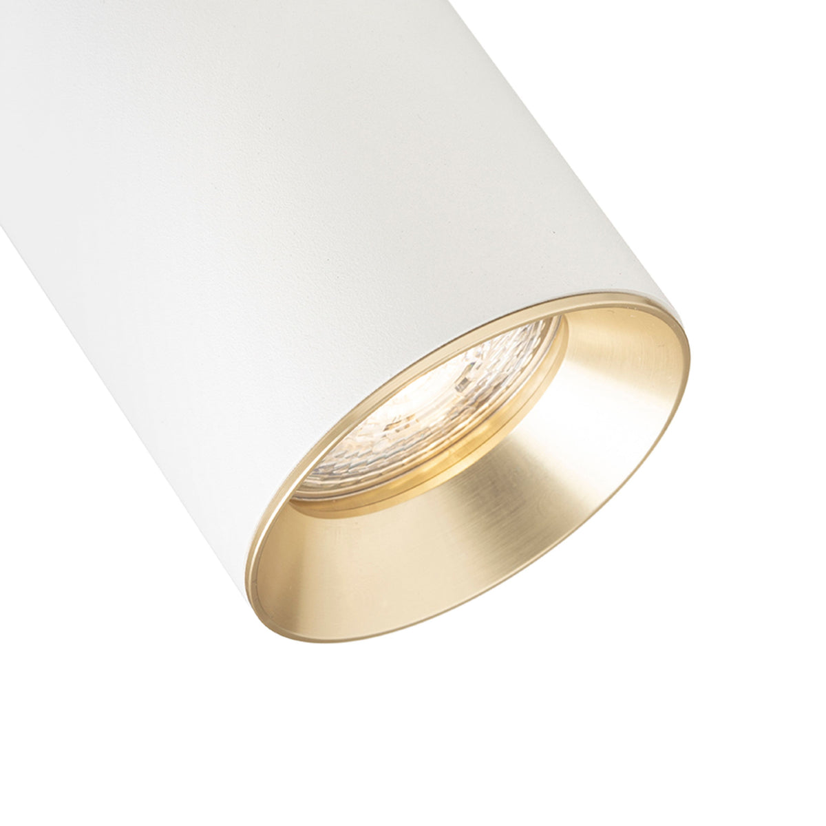 RENDL spotlight DARIO ceiling white brushed brass 230V LED GU10 9W R13867 4