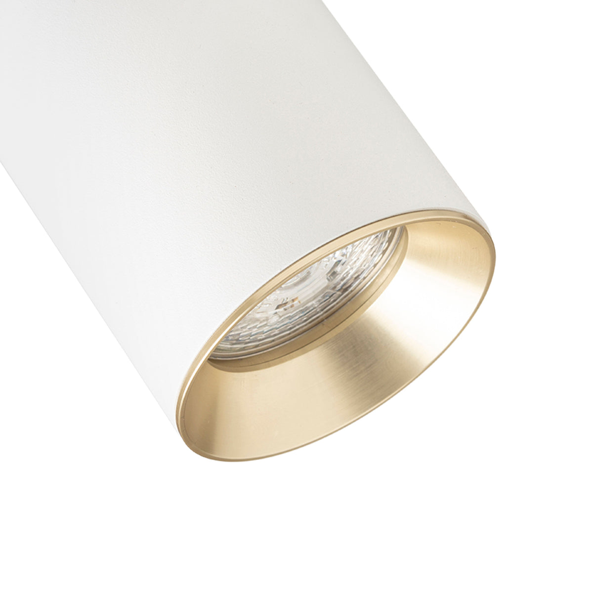 RENDL 1-circuit track system DARIO for 1-circuit tracks white brushed brass 230V LED GU10 9W R13870 6