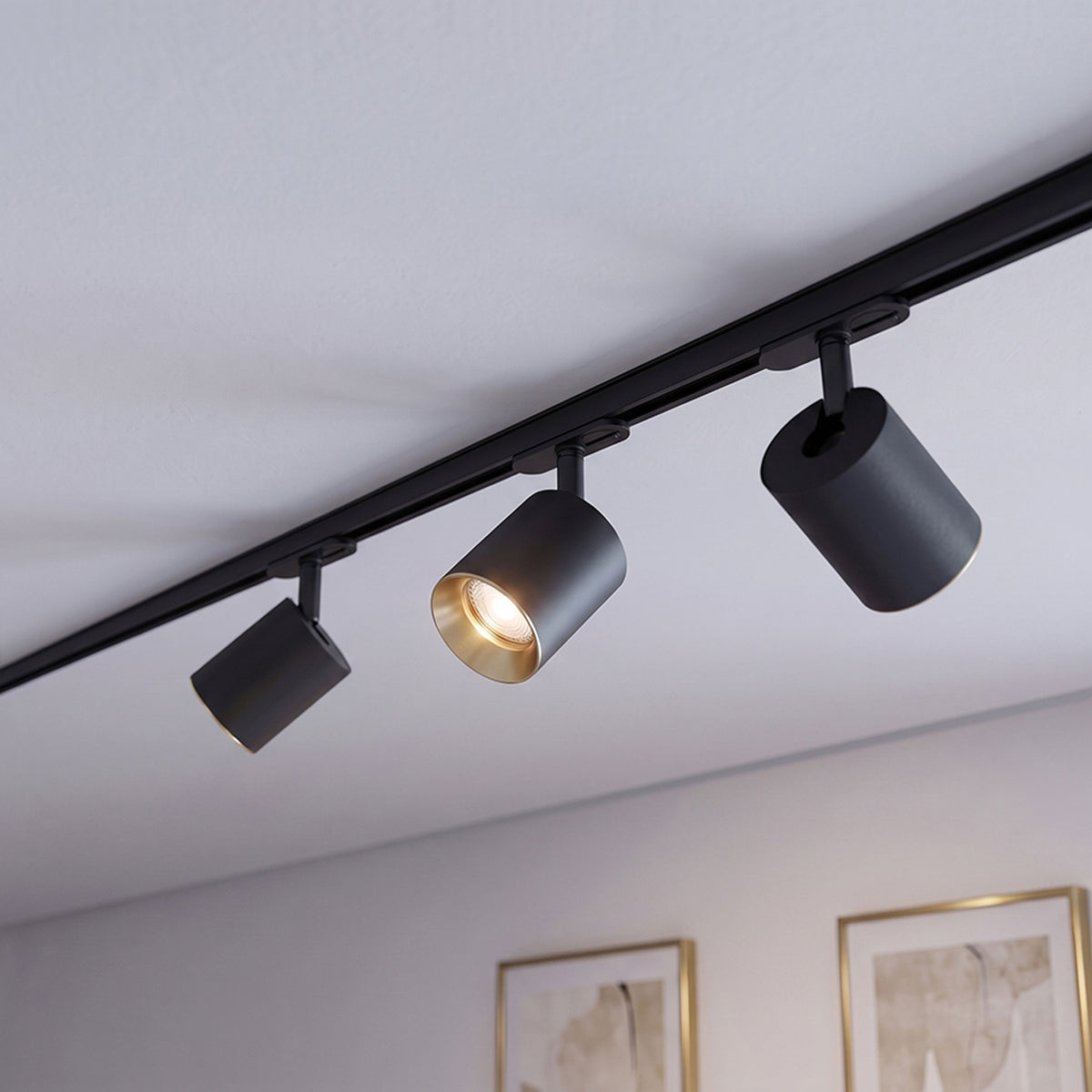 RENDL 1-circuit track system DARIO for 1-circuit tracks black brushed brass 230V LED GU10 9W R13871 2
