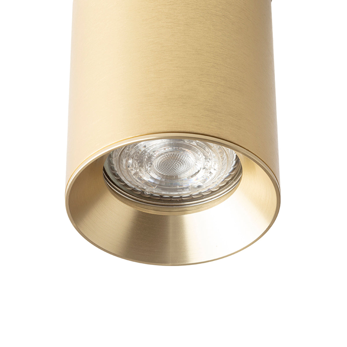 RENDL 1-circuit track system DARIO for 1-circuit tracks  brushed brass 230V LED GU10 9W R13872 4