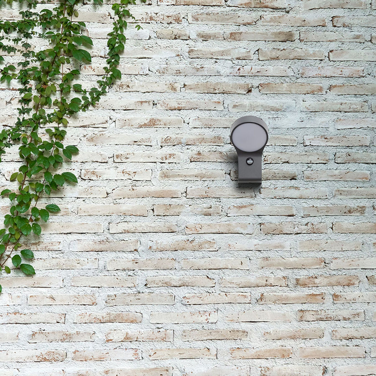 RENDL outdoor lamp ELIA PIR wall anthracite grey  230V LED 9W IP44  3000K R13931 2