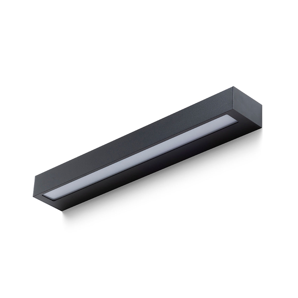 RENDL outdoor lamp ASTER 50 wall black frosted acrylic 230V LED 2x10W IP65 3000K R14199 2
