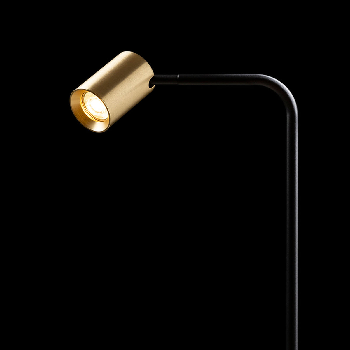 RENDL floor lamp FLYNN I floor black/brushed brass 230V LED GU10 9W R14264 3