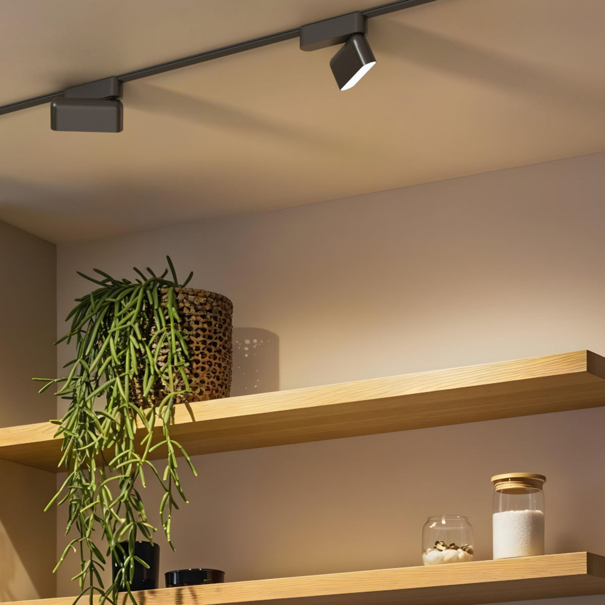RENDL Ultra-thin track system OXONIA 11 with tilt-function for the VEGA/WAVE system black  24= LED 6W 110°  3000K 4000K 6500K R14321 8